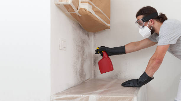 Professional Crawl Space Mold Remediation technician working in Parrish, FL