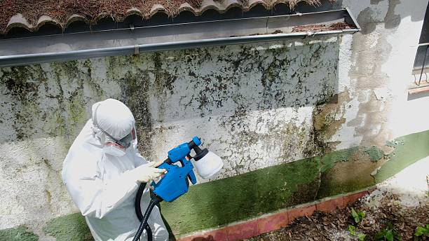 Top rated local Crawl Space Mold Remediation specialists in Parrish, FL